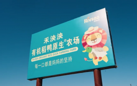 从坐到走，禾泱泱辅食如何跟上宝宝成长的脚步？