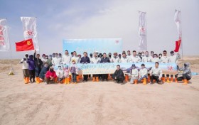 零碳远征赴沙海 绿意新生守家园 —— 东风南方第二届民勤防风治沙公益行动